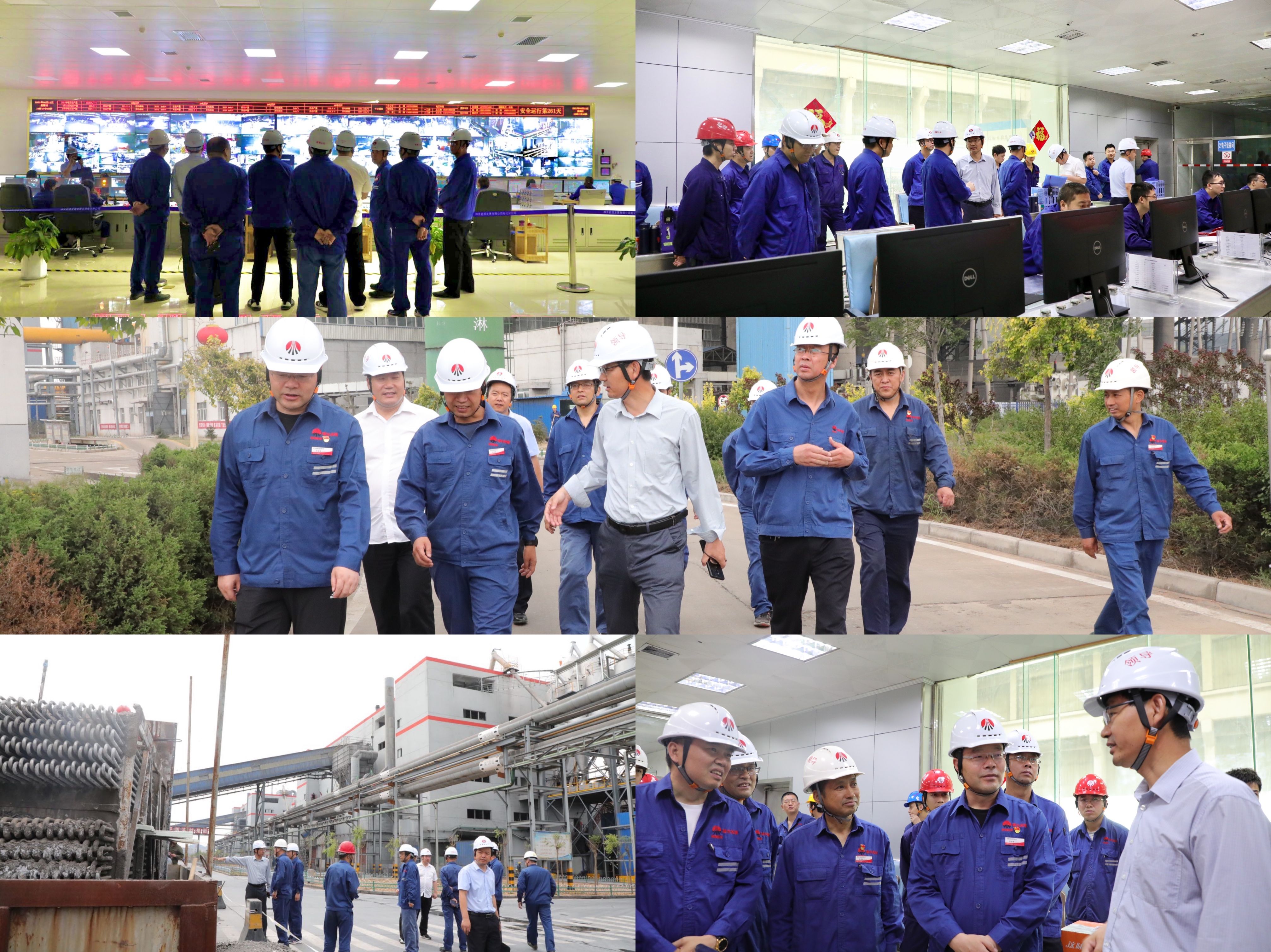 1623718398600637.jpg 1623718398600637.jpg