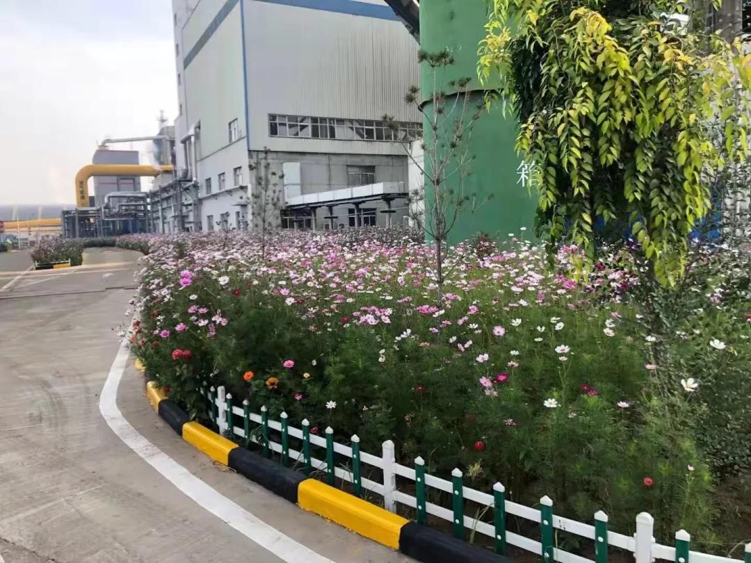 1635388274879784.jpg 微信图片_20211028102930.jpg