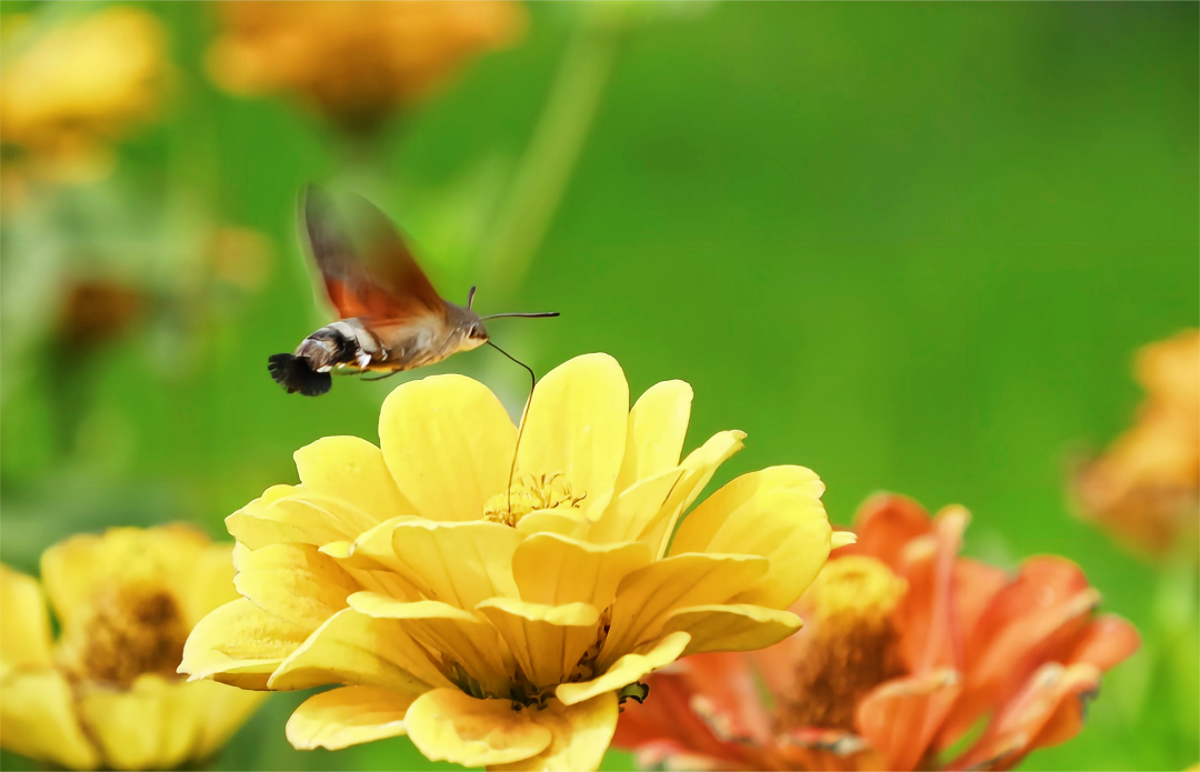 1665466802974079.png 1.png