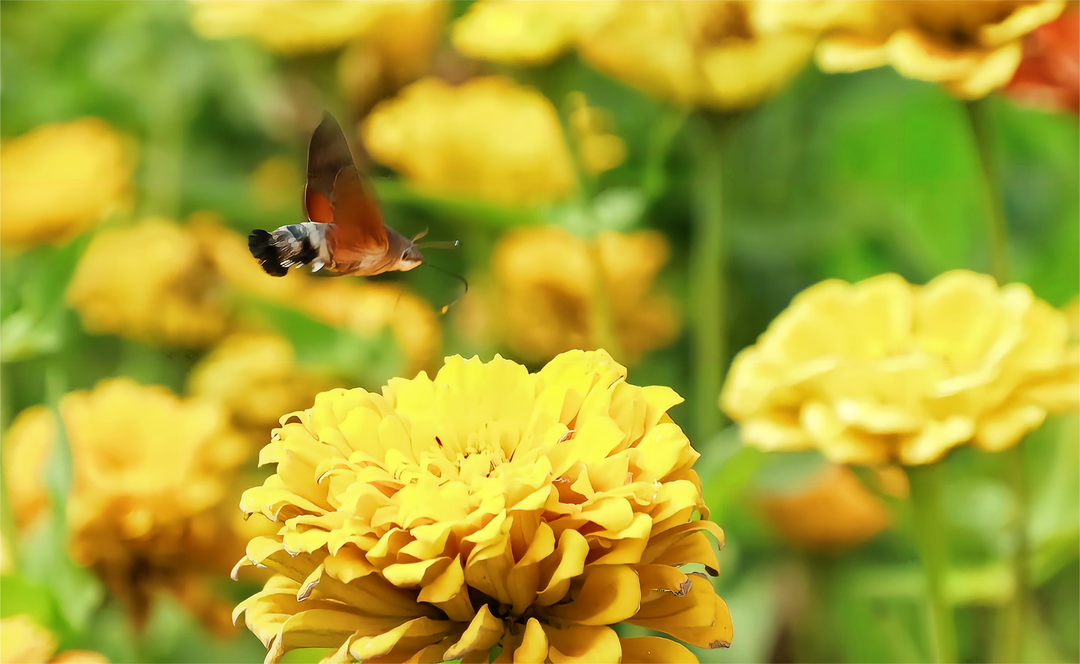 1665466812958983.png 3.png