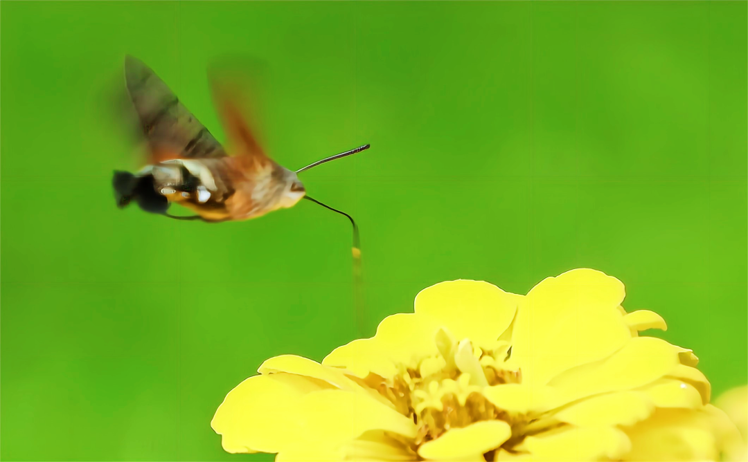 1665466821586318.png 4.png