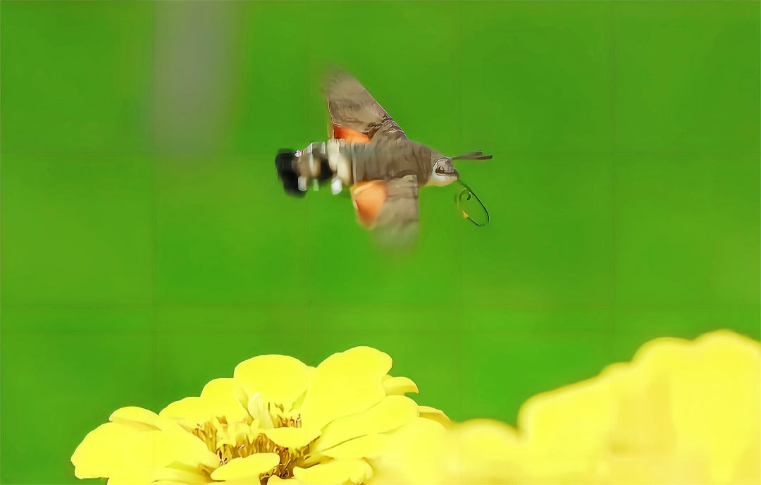 1665466826528147.png 5.png