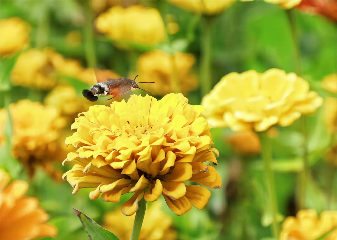 1665466832579793.png 6.png