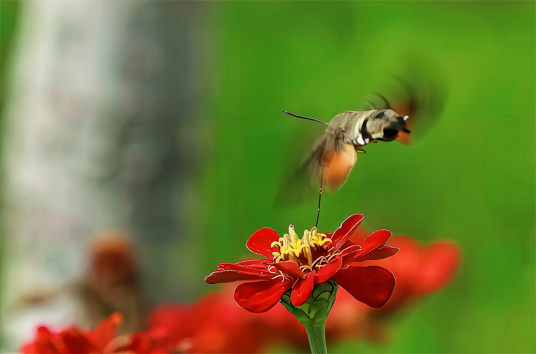 1665466837349512.png 7.png