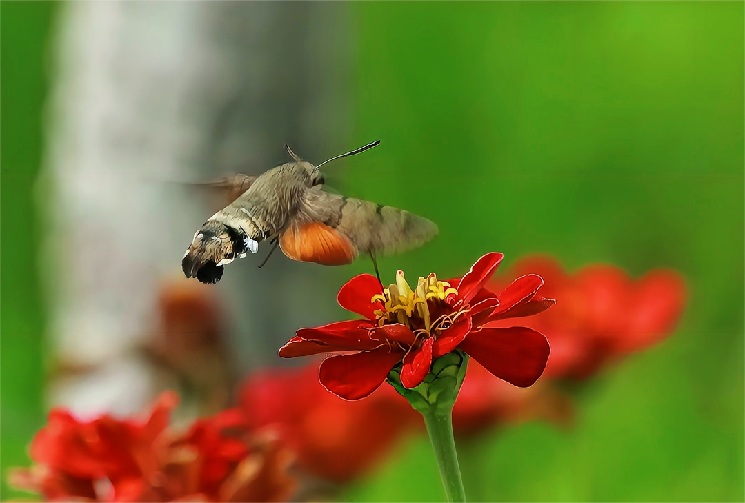 1665466852113268.png 9.png