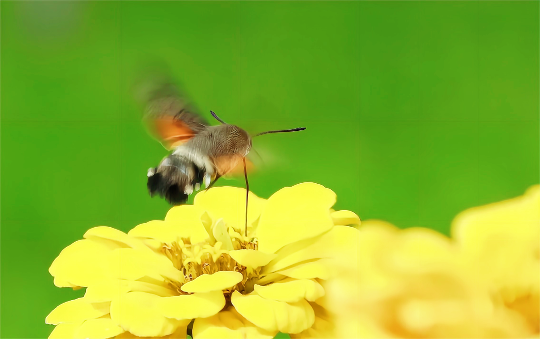 1665466859173044.png 10.png