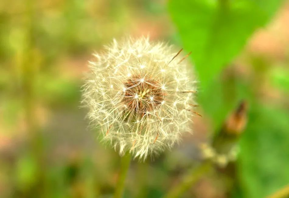 1722660933269508.jpg 微信图片_20240803124059.jpg