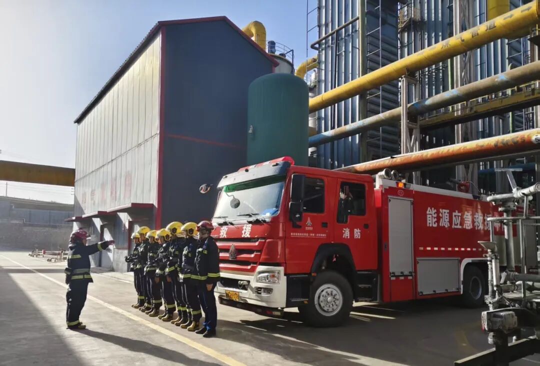 1769040355124116.jpg 3.3.jpg