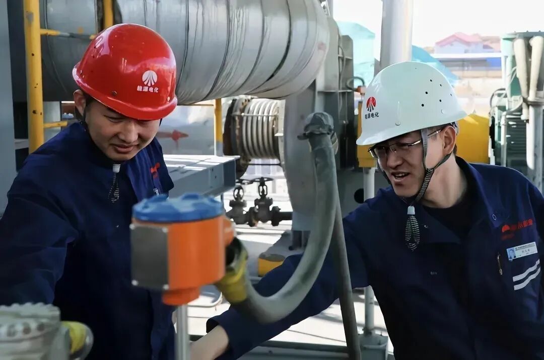 1775001980272907.jpg 640 (1).jpg