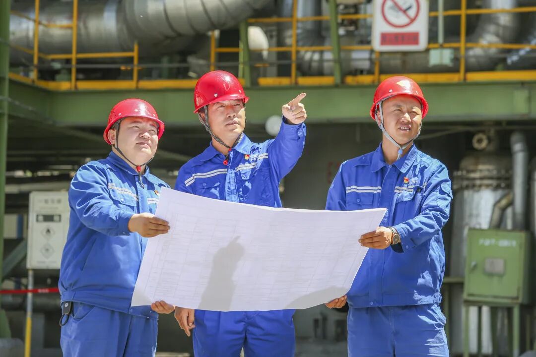 1775088911377388.jpg 640 (7).jpg